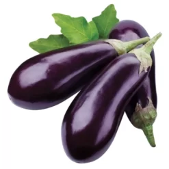 Cà tím hữu cơ