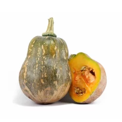 Bí đỏ hữu cơ
