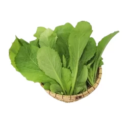 Cải mơ hữu cơ