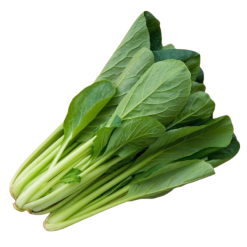 Cải ngọt hữu cơ