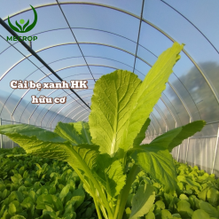 Caibexanh farm1