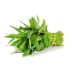 Rau muống hữu cơ