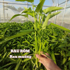 Raumuong farm1
