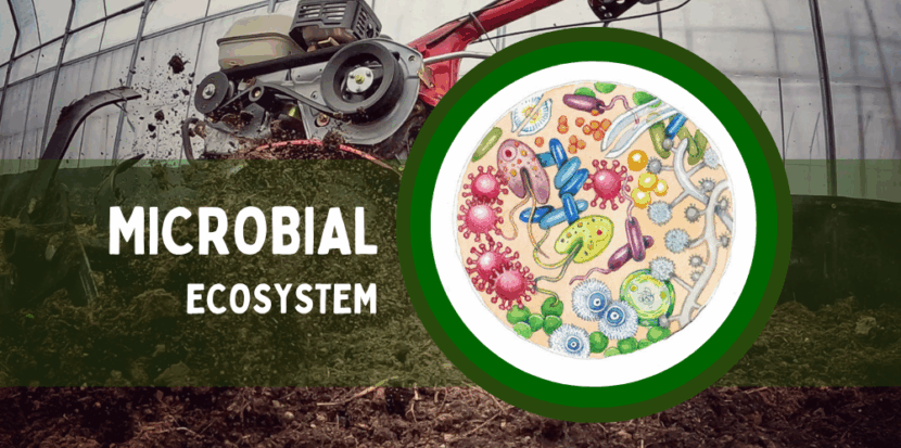 Microbial system 1000x600 1