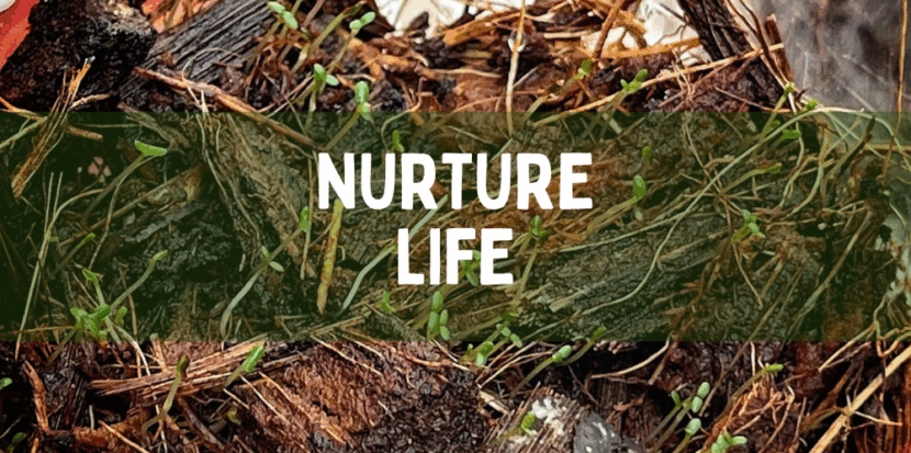 Nuture life 1000x600 1