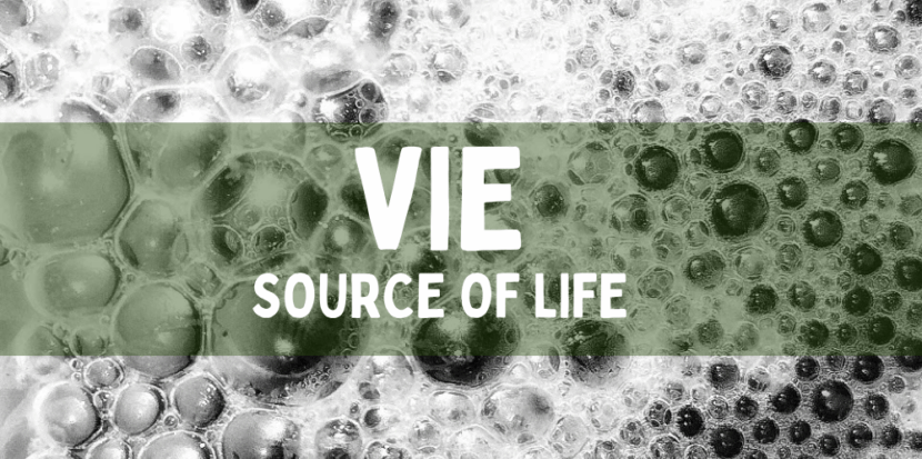 Vie source of life 1000x600 1
