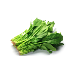 Cải bó xôi hữu cơ