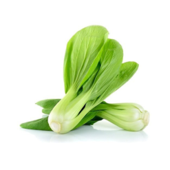Cải Chip hữu cơ