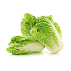 Cải thảo hữu cơ
