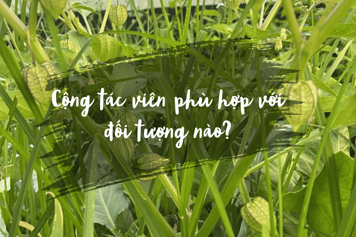 Cộng tác viên phù hợp với đối tượng nào