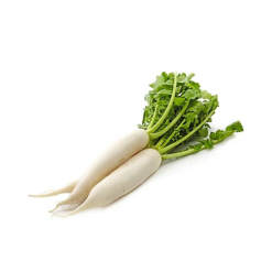 Củ cải trắng hữu cơ
