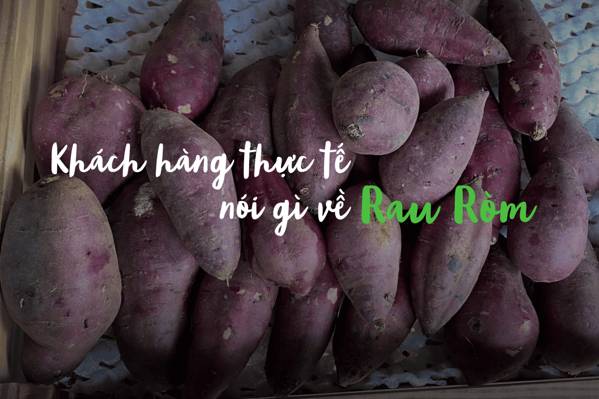Khách hàng thực tế nói gì về Rau Ròm