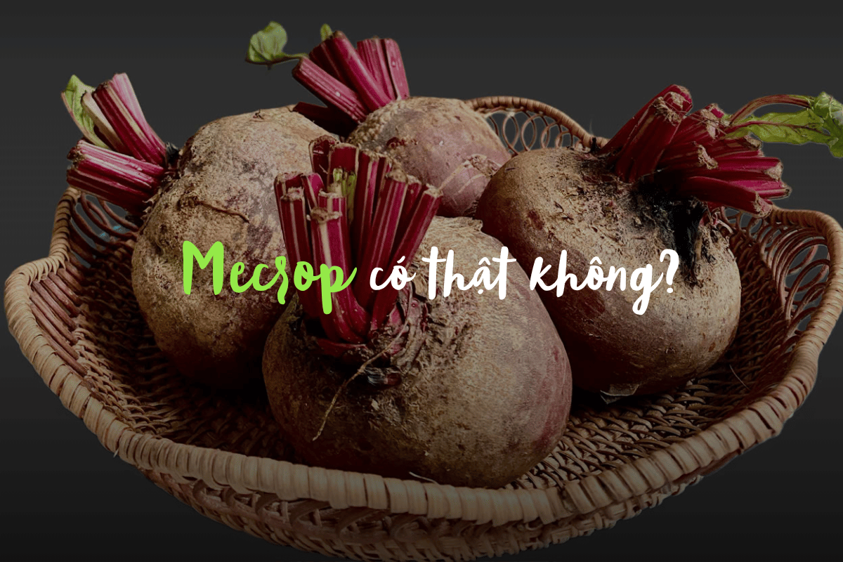 Mecrop có thật không?