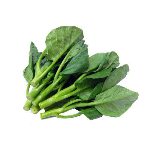 Rau mồng tơi hữu cơ
