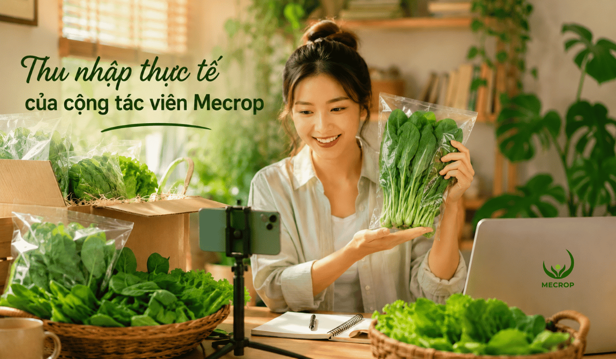 Thu nhap thuc te cua cong tac vien Mecrop 1200 x 700 px