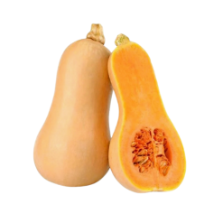 Bí bơ hữu cơ