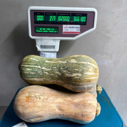 Bido farm1