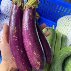 Catim farm1
