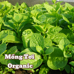 Mongtoi farm2