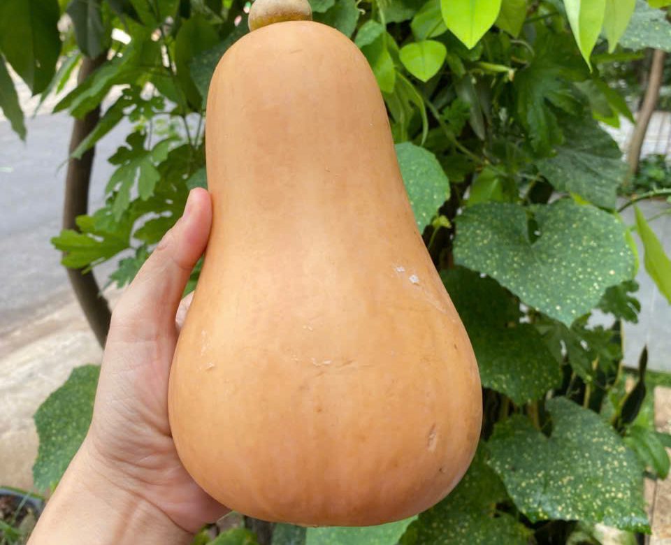 Một ngày làm CTV Mecrop trông như thế nào