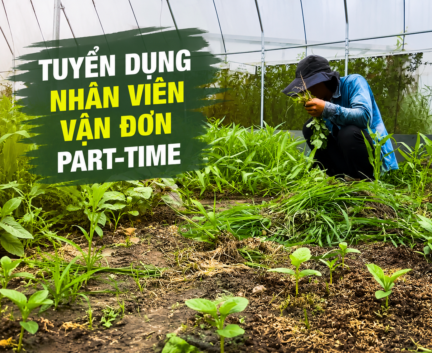 Tuyển nhân viên vận đơn