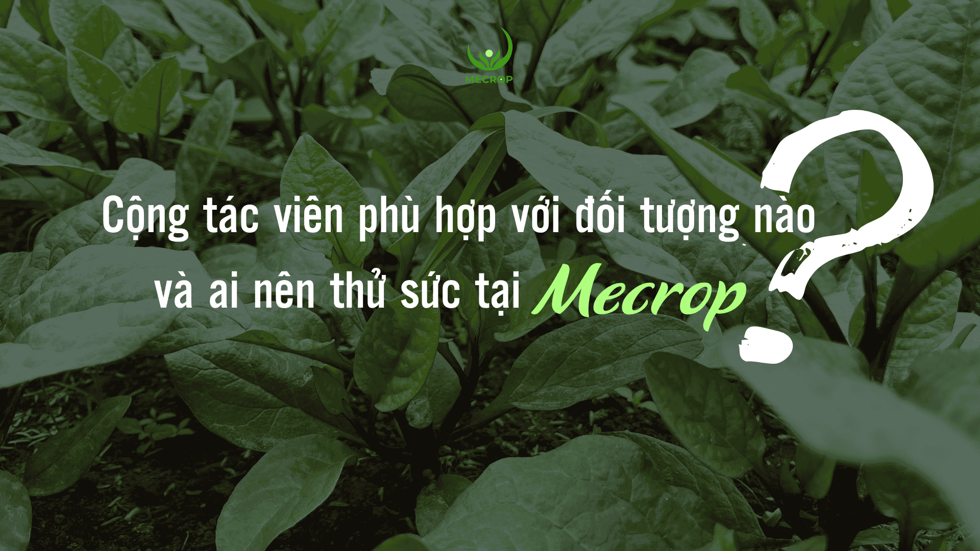 Cộng tác viên phù hợp với đối tượng nào
