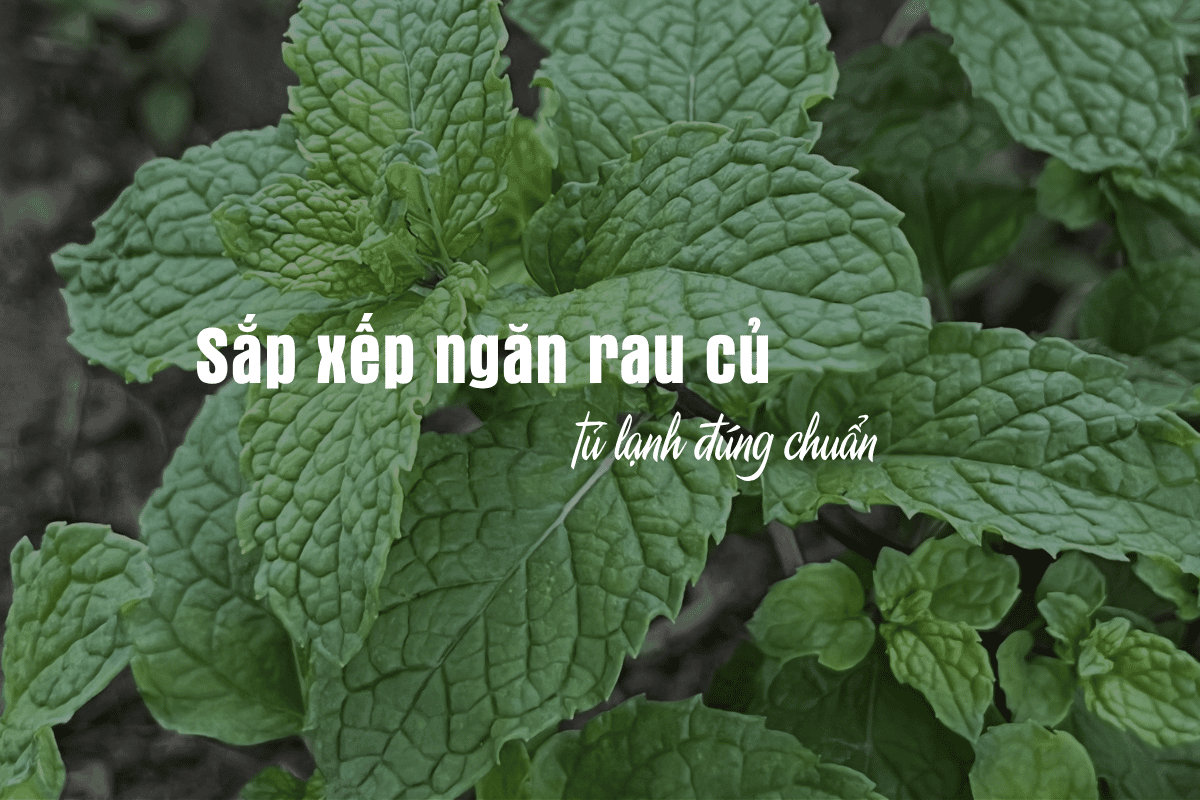 Sắp xếp ngăn rau củ tủ lạnh đúng chuẩn