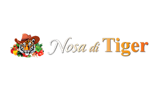Logo nosa
