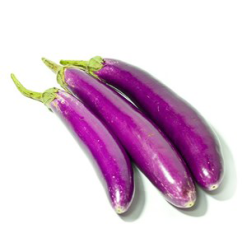 Cà tím hữu cơ