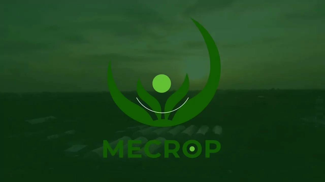 video background