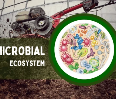 microbial system 1000x600 microbial system 1000x600