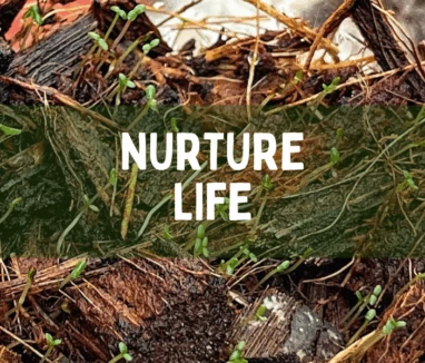 nuture life 1000x600 nuture life 1000x600