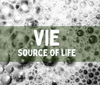vie source of life 1000x600 vie source of life 1000x600
